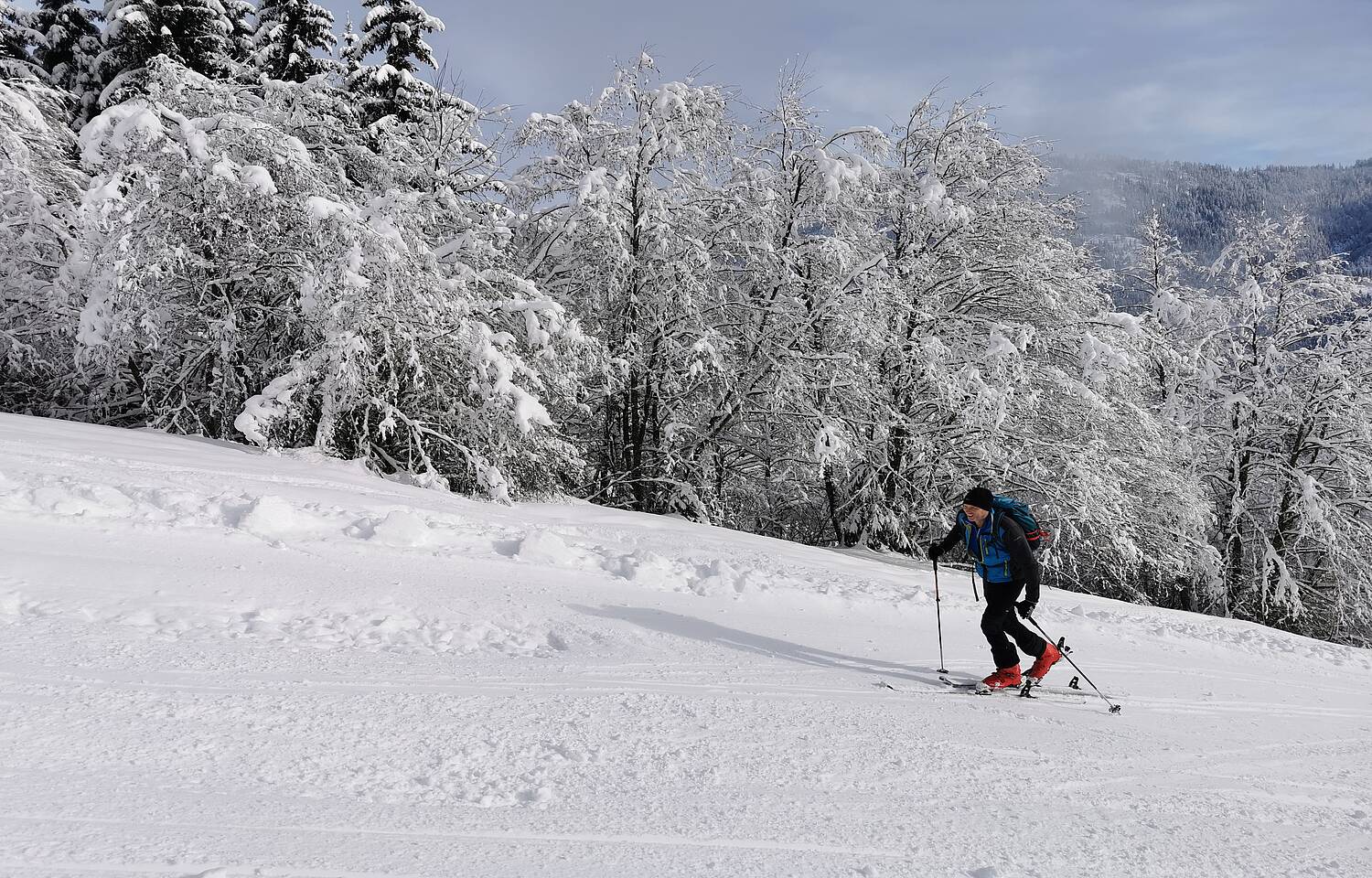 Gitschtal-Weißbriach_Tourenskigeher auf der Max Franz Skipiste