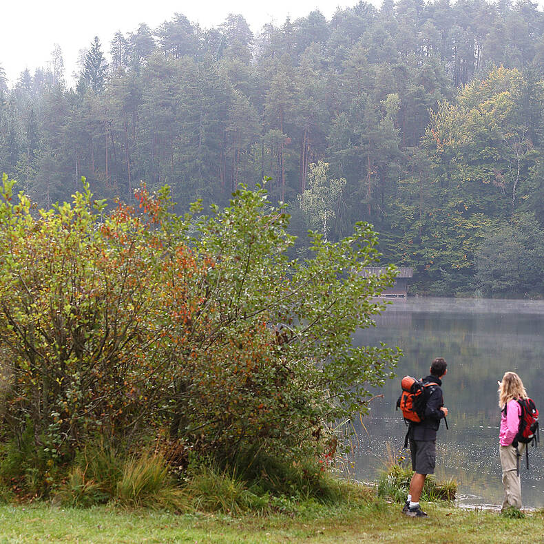 Alpe-Adria-Trail Saissersee 