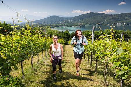 Stadt und W&ouml;rthersee entdecken