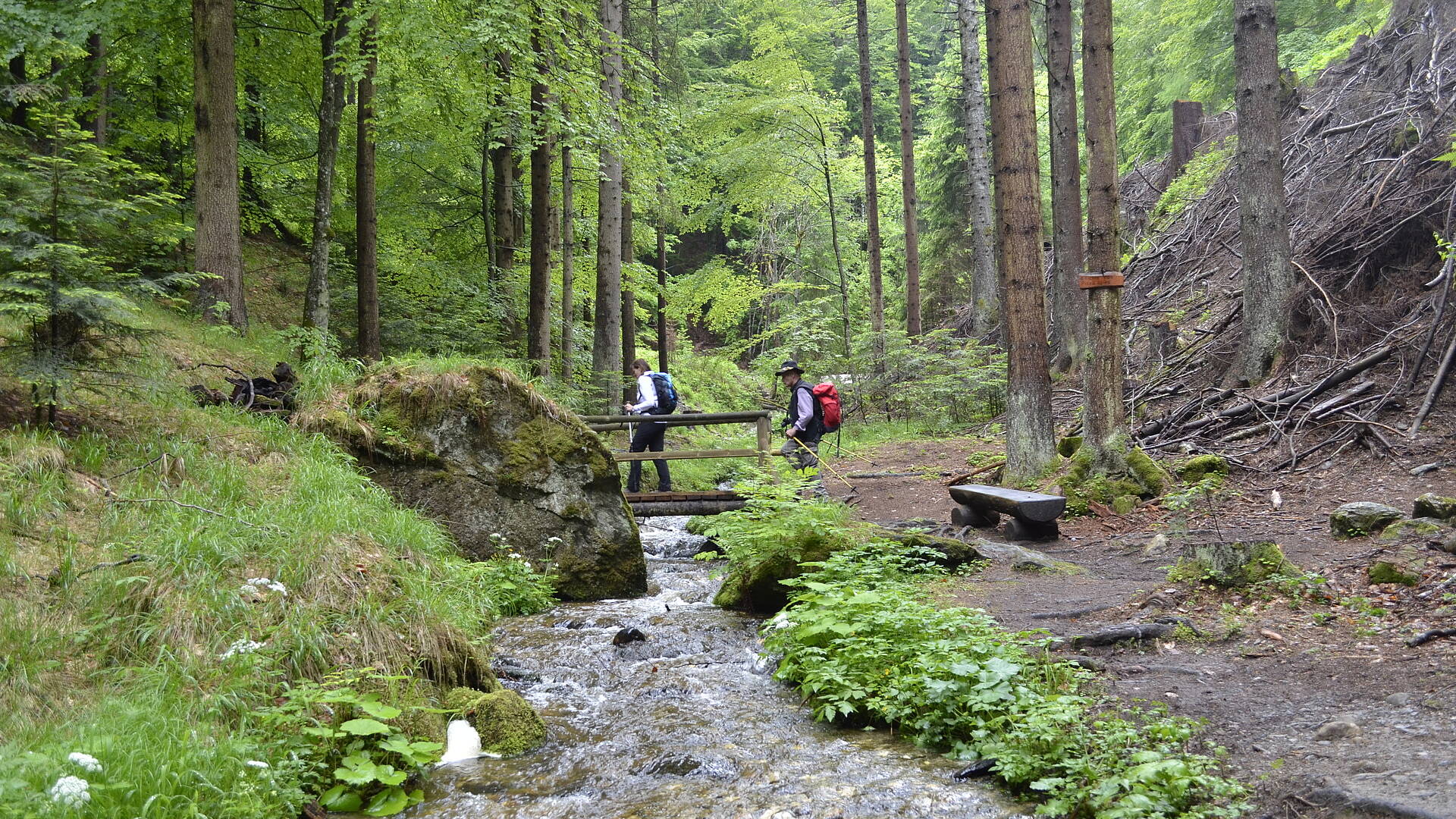 AAT Ossiacher Schluchtweg 0321