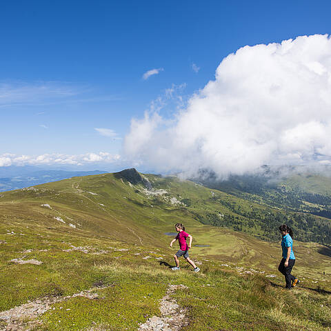 Panoramaweg Südalpen Lavanttal