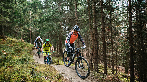 AreaOne Downhill in der Region Villach