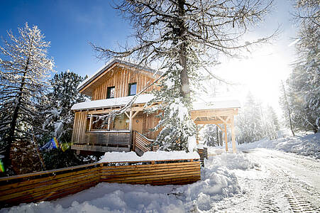 Winter im Alpenpark Turracher Höhe