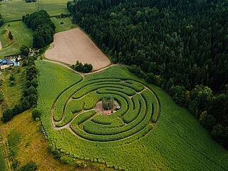 Labyrinth im Elefantengras | 1.7.–12.9.2023; täglich von 09.30–18:00 Uhr Letzter Einlass 18:00 Uhr