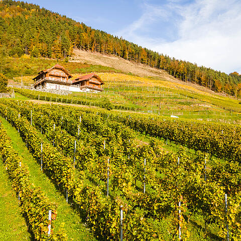 Weingut Karnburg