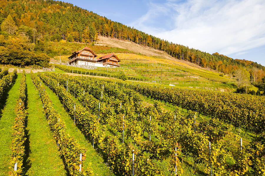 Weingut Karnburg