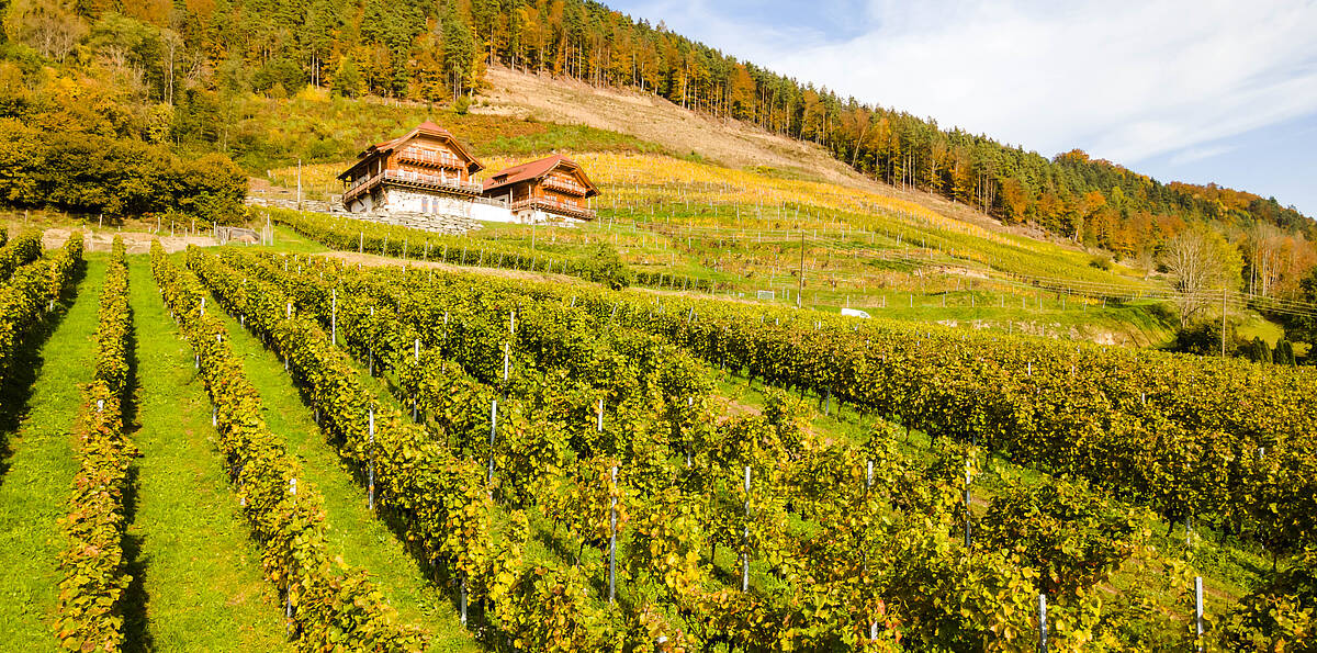 Weingut Karnburg