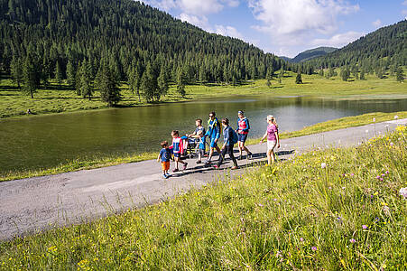 Barrierefreies Naturerlebnis Egger Alm zur Dellacher Alm 