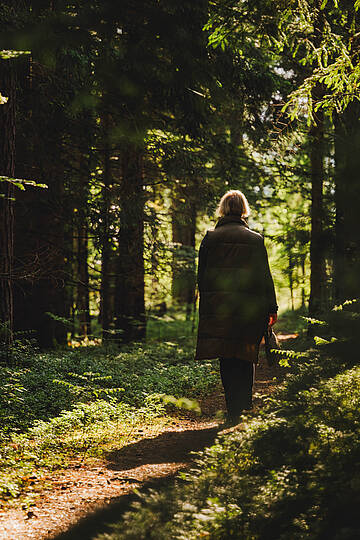 Auszeit bei einem Waldspaziergang