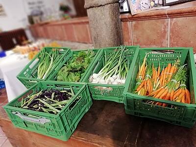 Ferienhof Neusacher Moser