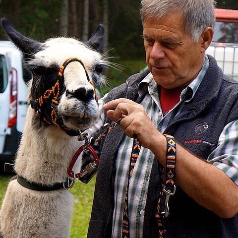 Lama-Trekking im Gailtal