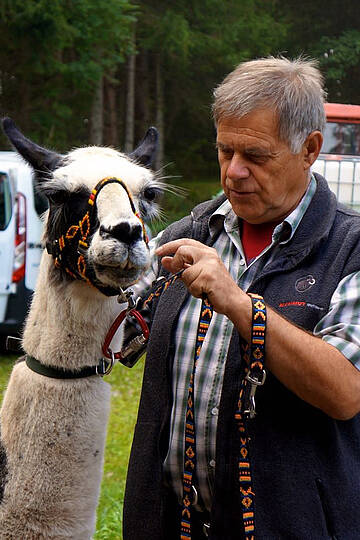 Lama-Trekking im Gailtal