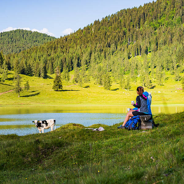 Kulinarik und Wandern auf der Alm am Nassfeld