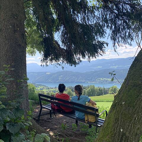 Via Paradiso Blick auf den Millstätter See