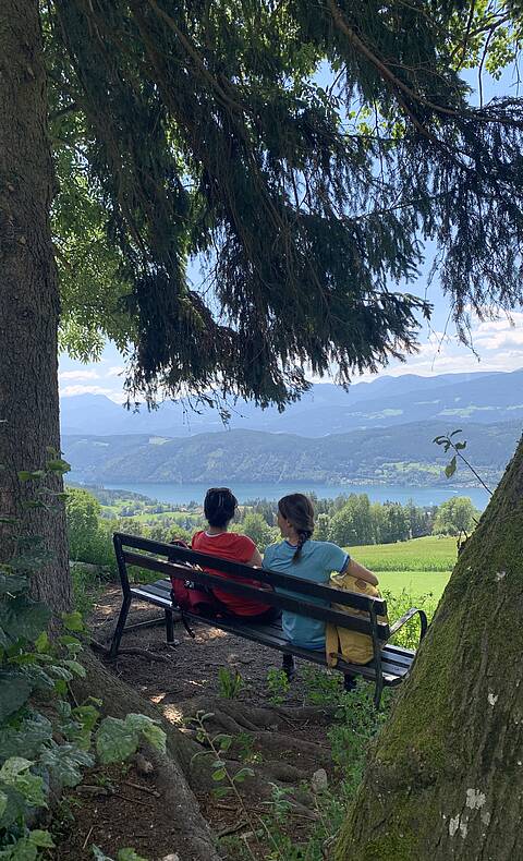 Via Paradiso Blick auf den Millstätter See