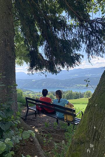 Via Paradiso Blick auf den Millstätter See