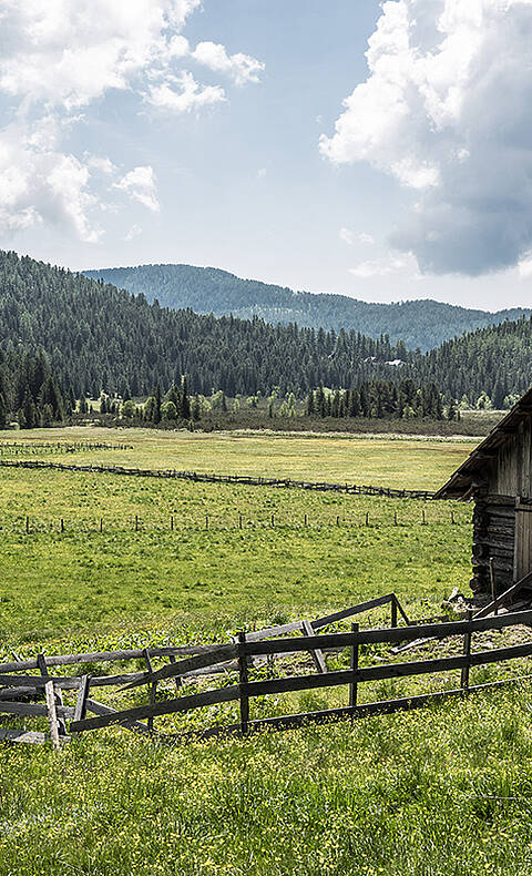 Ein Bergsommer wie damals Hochmoor-Huette