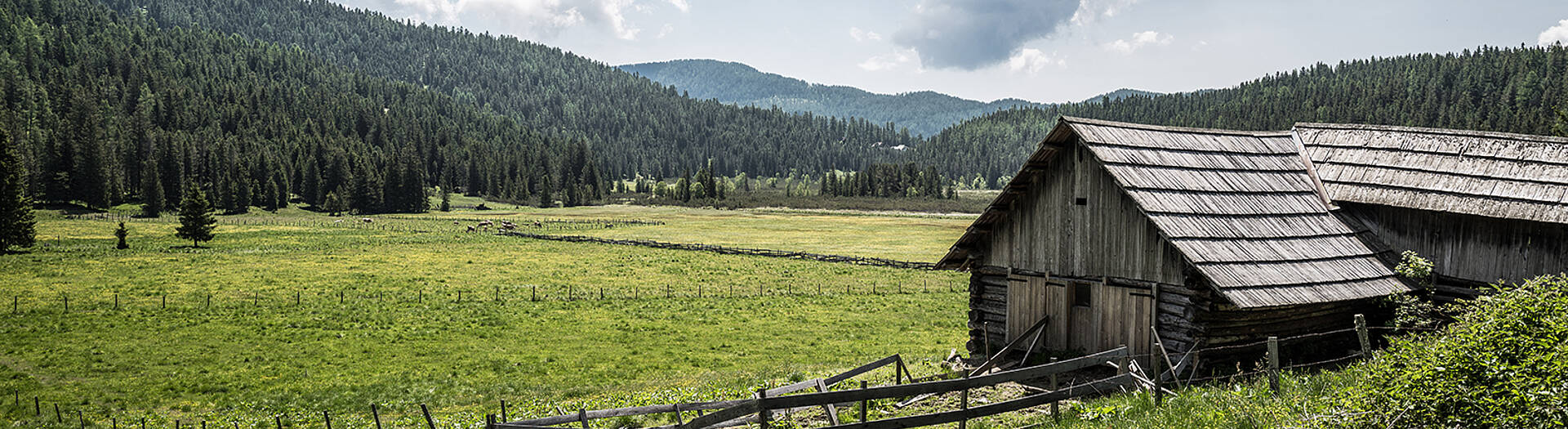 Ein Bergsommer wie damals Hochmoor-Huette