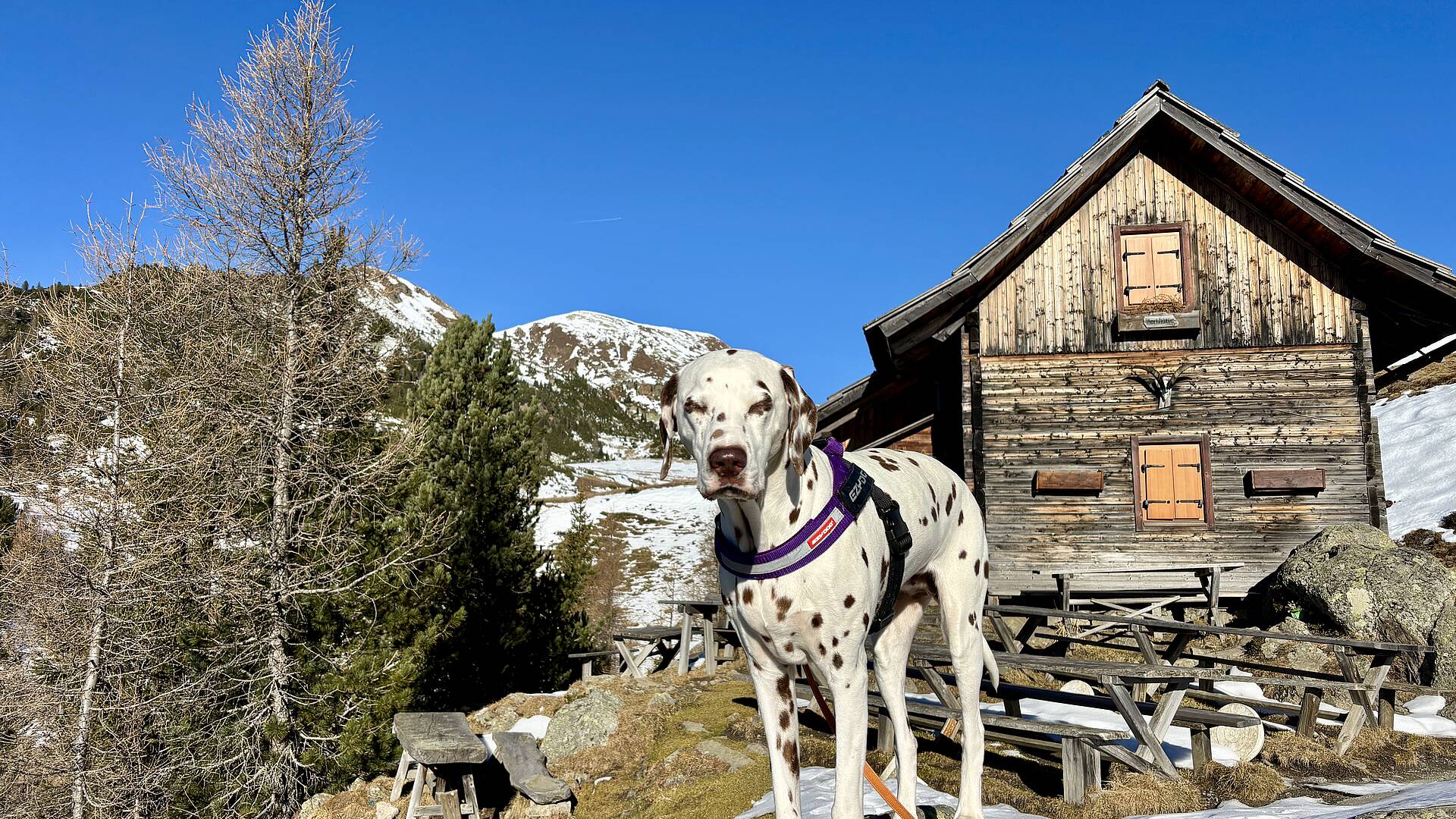 St. Oswald wandern mit Hund
