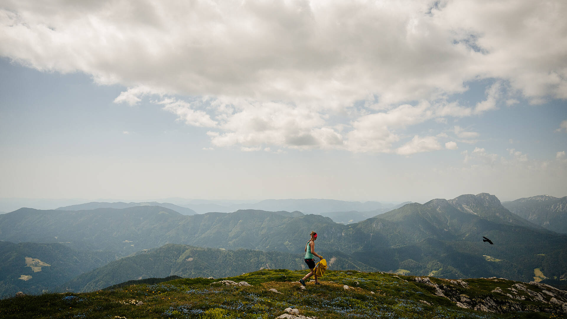 Wandern auf der Petzen/Kordeschkopf mit schönen Panoramablick