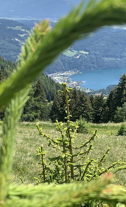 Alpe-Adria-Trail Etappe 13 Blick auf Doebriach