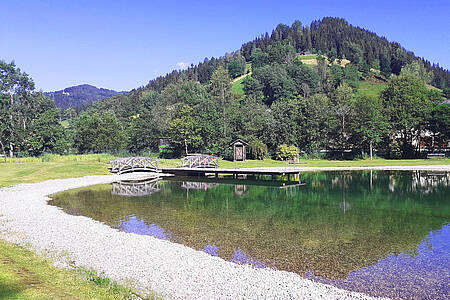 Naturbadeteich Metnitz