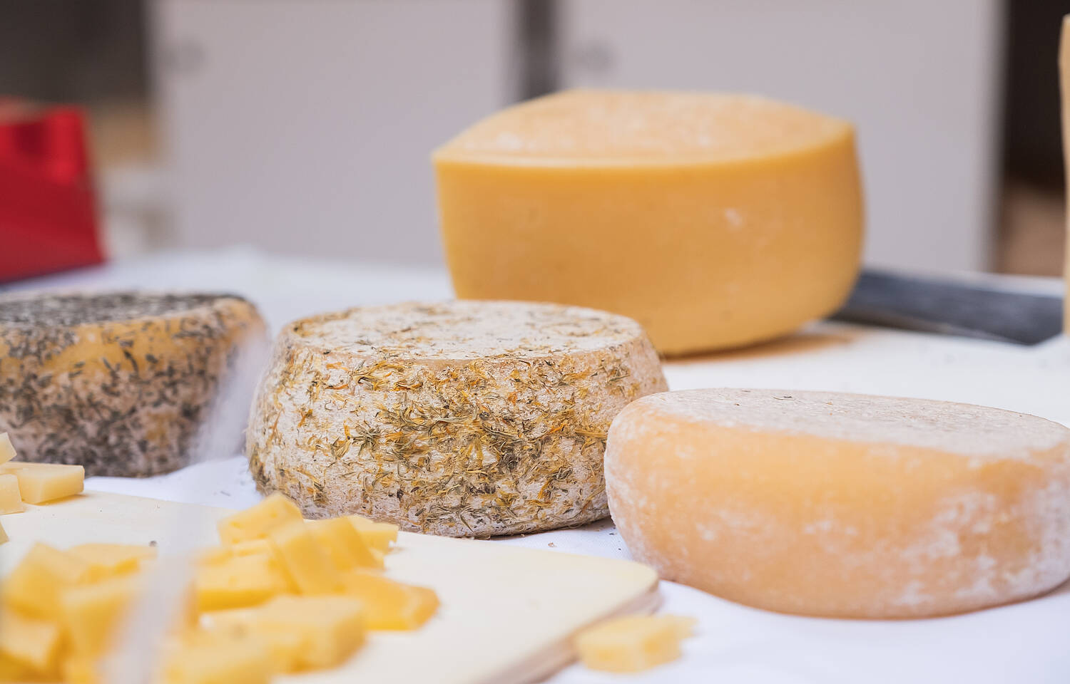 Kulinarik in Klagenfurt_Genussmeile Käse