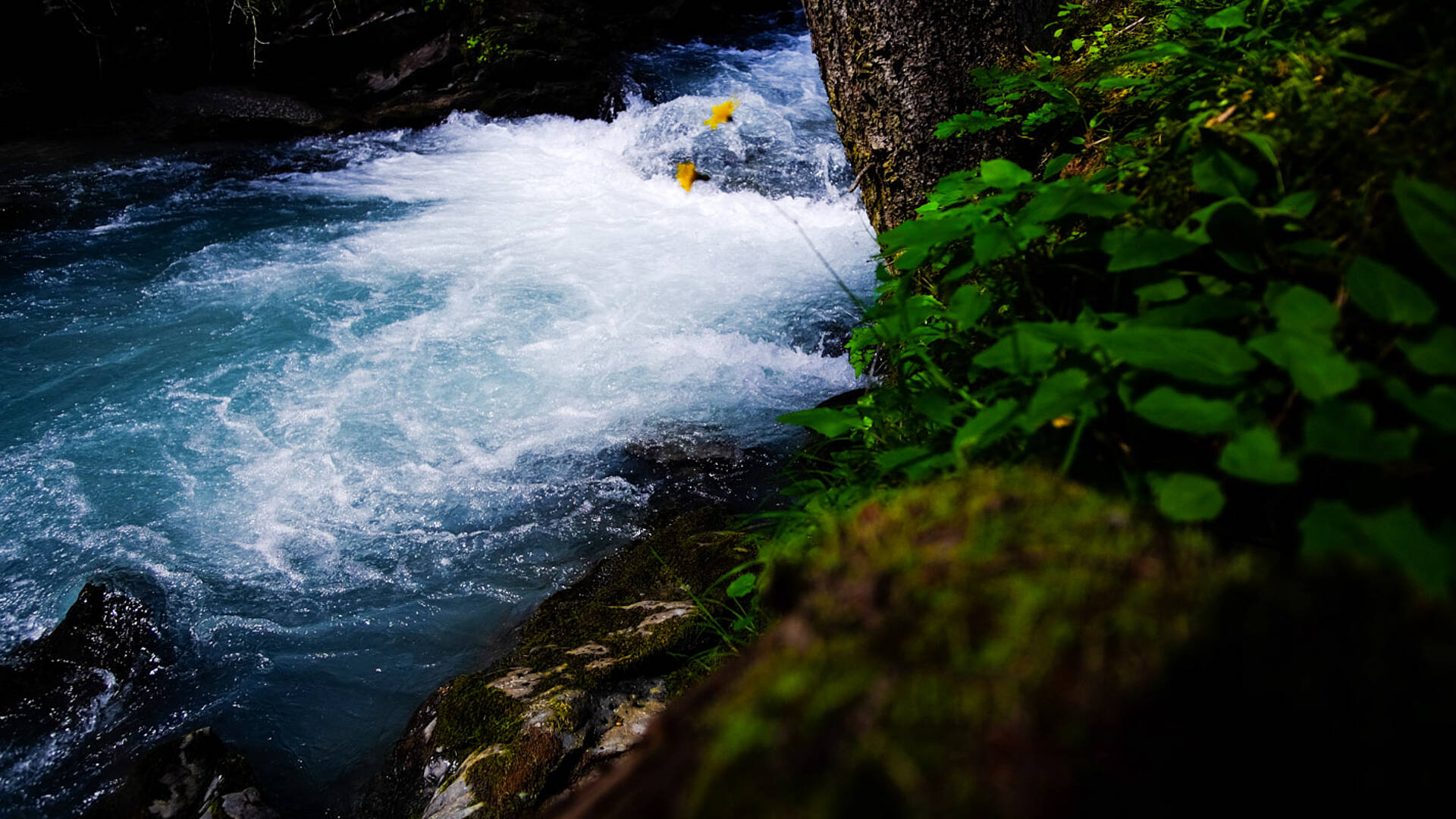 Wasserfallwandern in den Hohen Tauern