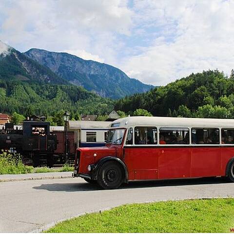 Nostalgiebahn Schnauzenbus