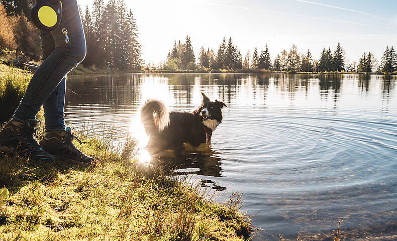 Zwei Frauen beim Wandern mit Hund in Preitenegg im Lavanttal auf der Hebalm