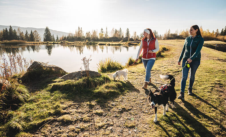 Zwei Frauen beim Wandern auf der Hebalm in Preitenegg mit Hunden