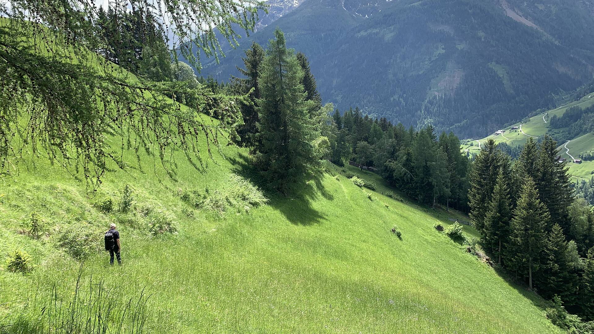 Wandern am Alpe Adria Trail 