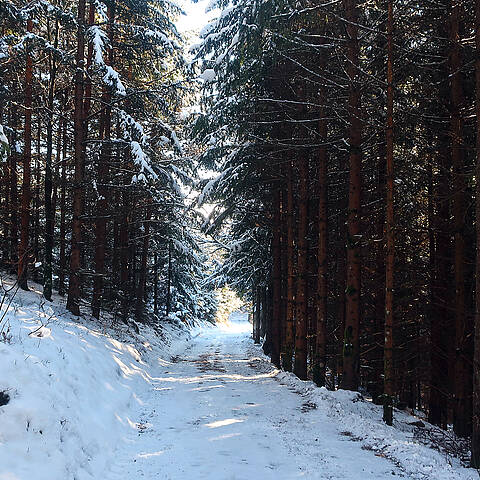 Slow Trails am Millstätter See
