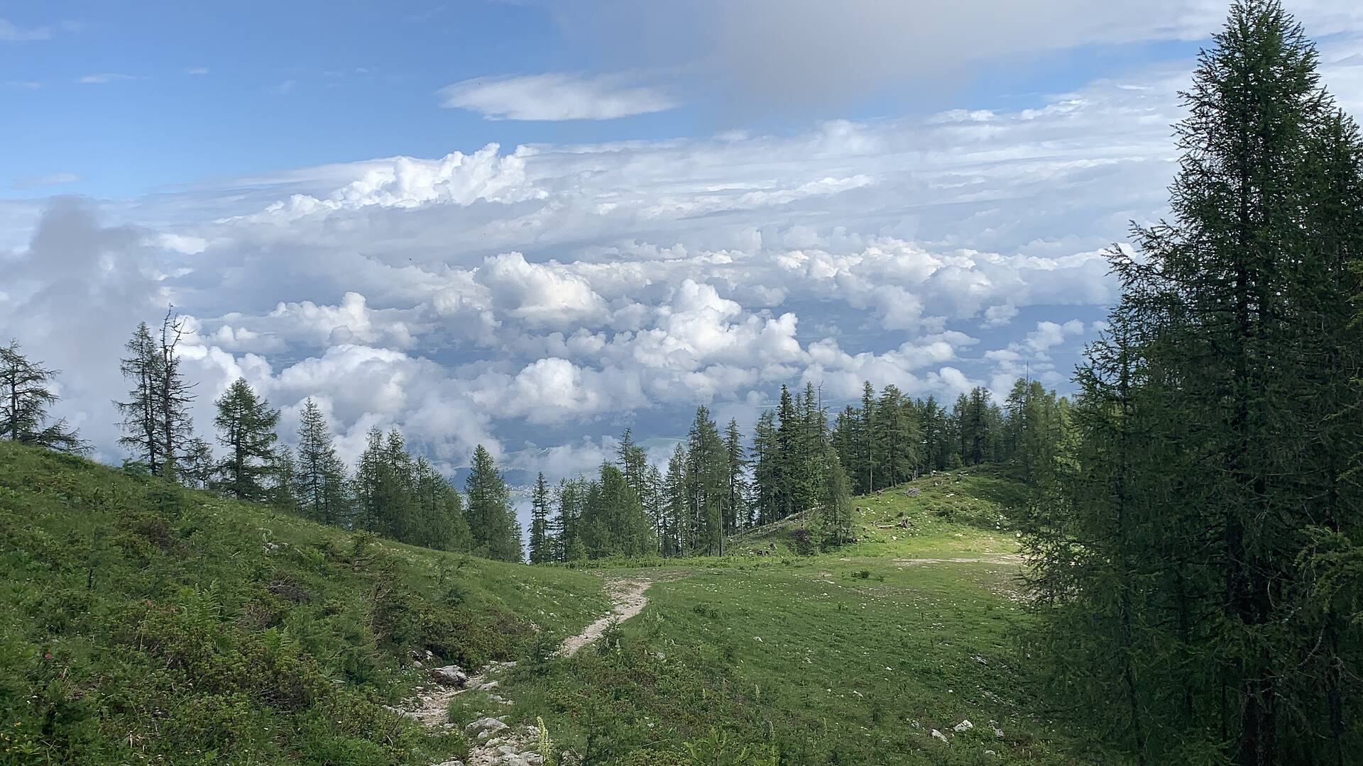 Wandern auf der Petzen