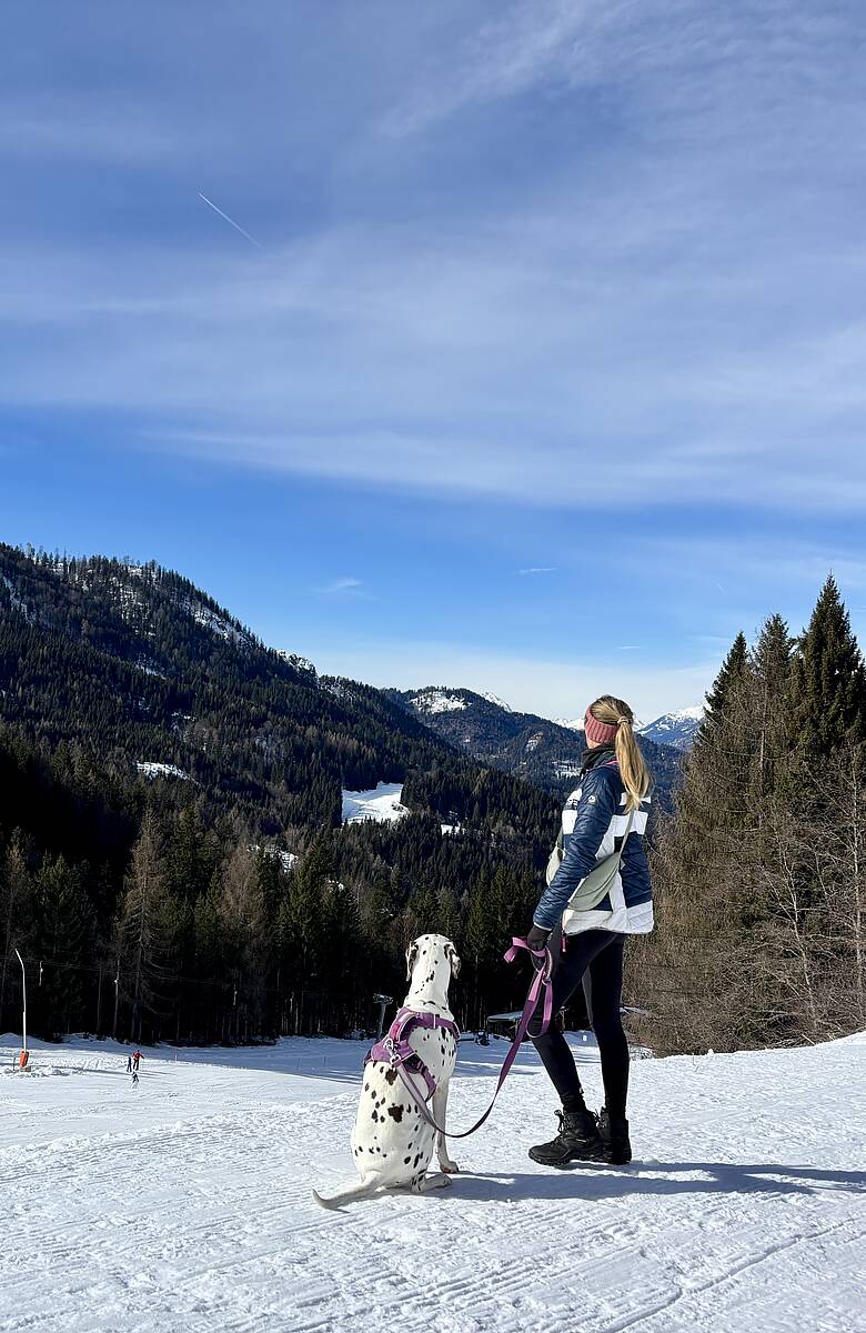 Weissensee wandern mit Hund