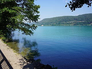 Seezugang Auen bei Velden