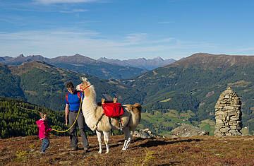 Lamatrekking am Katschberg