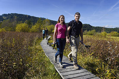 Hoerfeldmoor Mittelkaernten 