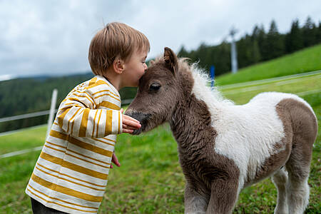 Natur- und Familienzeit beim Hinteregger