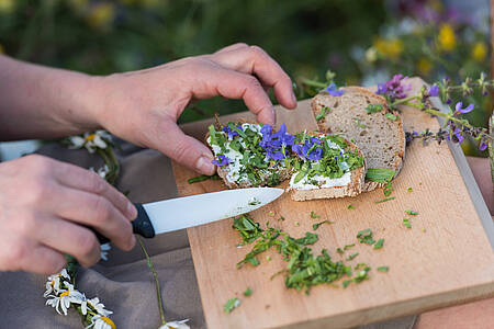 Slow Food Erlebnisse