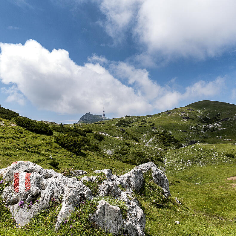 Naturpark Dobratsch mit Blick zum Sender