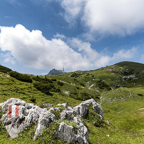 Naturpark Dobratsch mit Blick zum Sender
