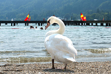 Campingbad Annenheim am Ossiacher See