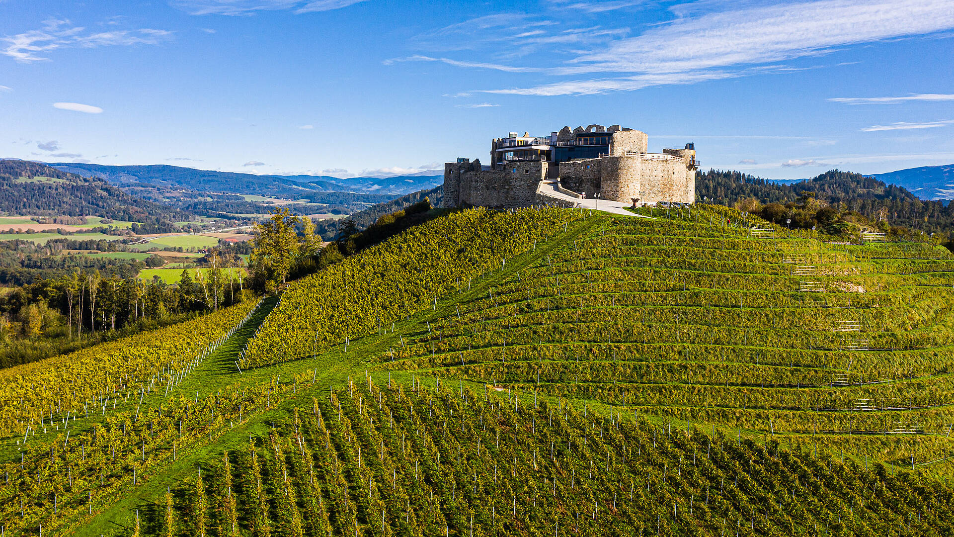 Burg Taggenbrunn mit Weingut