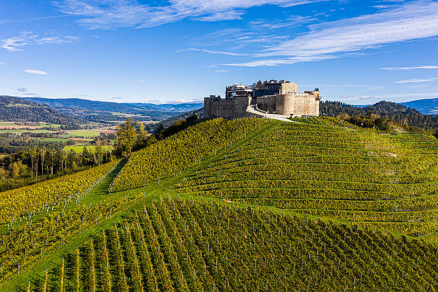 Burg Taggenbrunn mit Weingut