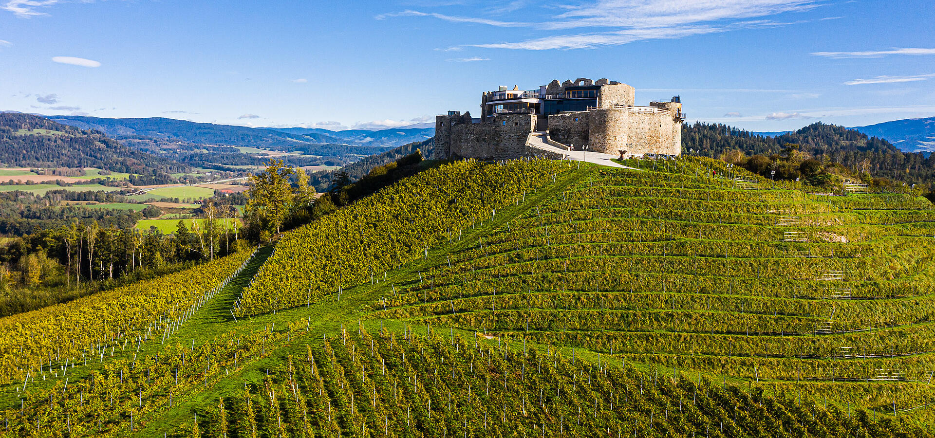Burg Taggenbrunn mit Weingut