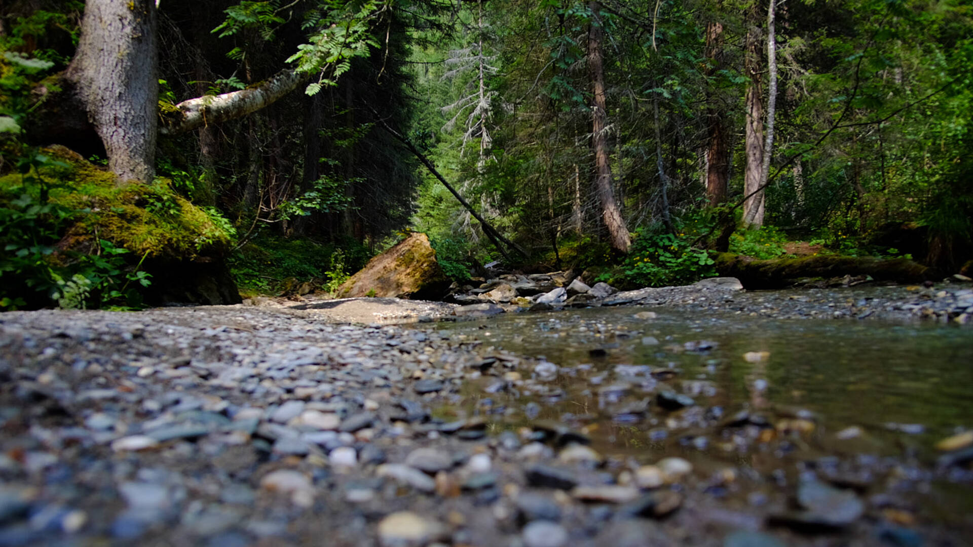 Wasserfallwandern in den Hohen Tauern