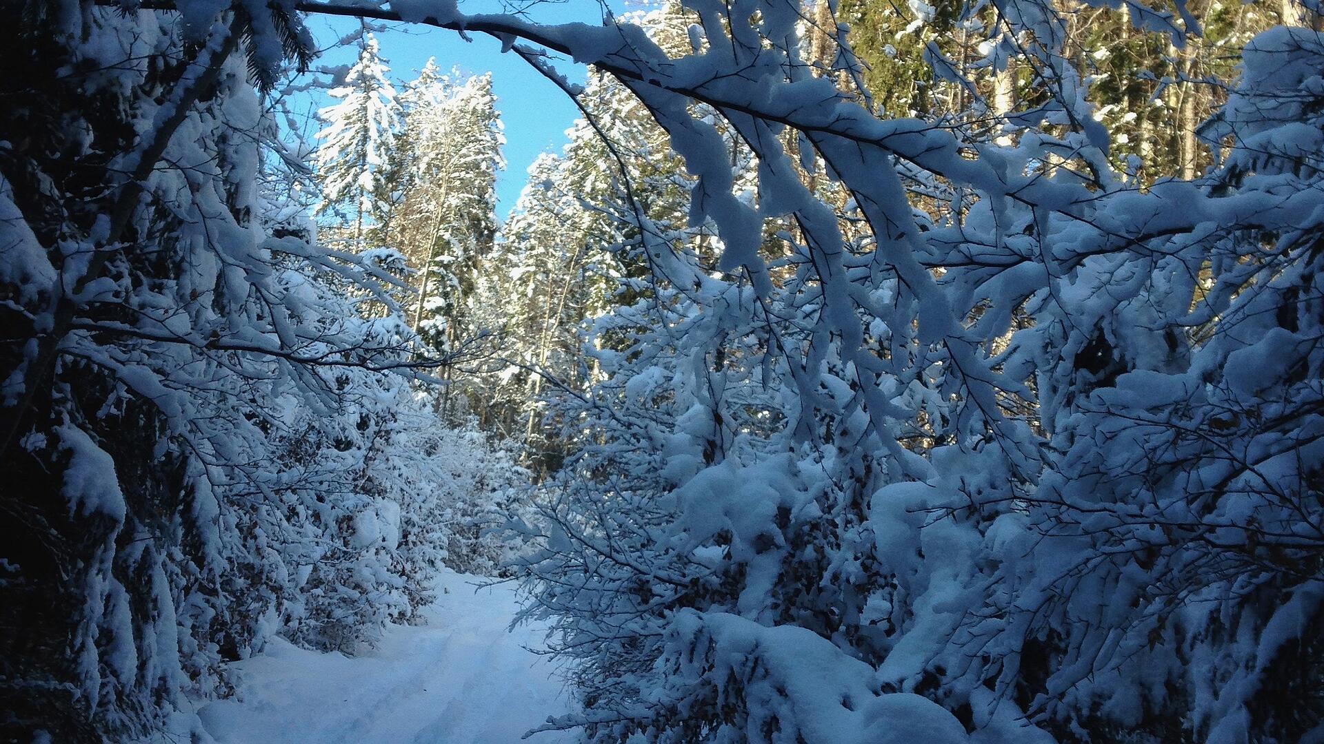 Dobratsch Skitour von Heiligengeist