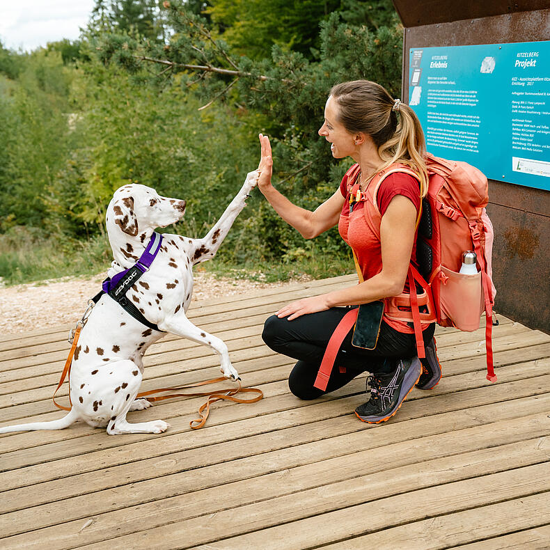 Frau und Hund am Kitzelberg Slow Trail Frau mit Rucksack und Dalmatiner geben sich auf einer Holzplattform am Kitzelberg Slow Trail ein High-Five.