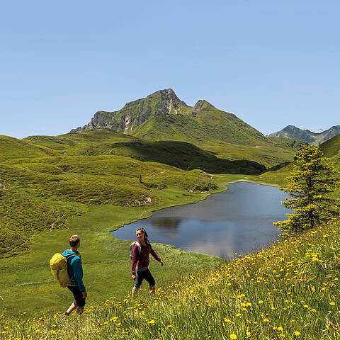 Zollnersee